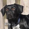 VITA