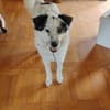 Unser Sonnenschein Joa sucht Familienanschluss