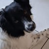 Stina - die unternehmungslustige