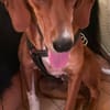RIO ist ein Träumchen - wo sind seine Menschen?