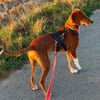 RIO ist ein Träumchen - wo sind seine Menschen?