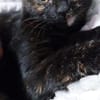 Verschmuste liebevolle Betty