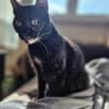 Verschmuste liebevolle Betty