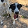 Apollo- nach schwerem Start möchte er endlich ankommen