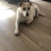 Hallo, ich bin Kalle