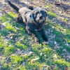Entspannter, liebenswerter Yannis sucht