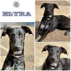 ELYRA ° verschmuste Lady