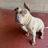PAA23030 SOOKIE