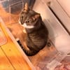 Kenai