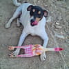 KIMER