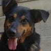 Filemon