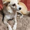 Süsse Sweety sucht aktive Menschen