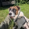 Sensibler Dallas sucht Dich