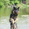 Verschmuster Bruno sucht sein Zuhause