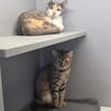 ASHLEY&ANIKA - gemeinsam ins Glück!