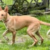 Mio, freundlich, lebendig, angstfrei