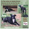🐾Unsere liebe Änni sucht ihr Zuhause 🐾