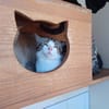 Pixel