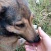 AYLA * ruhige, schüchterne Sie