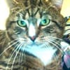RAMBO - der noch ein Zuhause sucht......