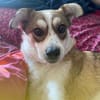 CARISA * charmant, chick, charakterstark
