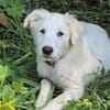 Snow - die kleine Entdeckerin mit eigenem Kopf