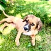 Willi ein liebes Kerlchen