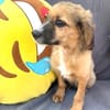 Willi ein liebes Kerlchen