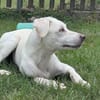 Ombretta sucht Familienanschluss