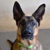 COOPER