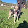 Hallo ich bin Kovo!