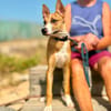 ZORRO (Maria)