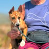 ZORRO (Maria)