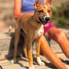ZORRO (Maria)