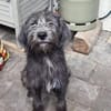 Schüchterne Marnie sucht ihr -Für-immer-Zuhause-