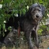 Schüchterne Marnie sucht ihr -Für-immer-Zuhause-