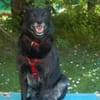 SAMMY DELUXE hofft auf dauerhaftes Heim