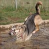 Rudi sucht Partner fürs Leben