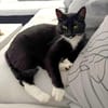 LUNA und POLLY: Glück im Doppelpack