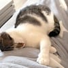 LUNA und POLLY: Glück im Doppelpack