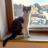 LUNA und POLLY: Glück im Doppelpack