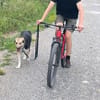 Frieda verliert unverschuldet ihr Zuhause