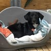 CHARLIE - Nähe und Zuneigung täglich genießen