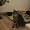 July sucht ein liebevolles Zuhause