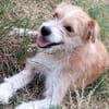 Chiko - junger Mann sucht Familienanschluss