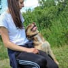 freundlicher Rüde sucht Herzensmensch