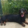 🐾 Kleine Berta sucht ihr Zuhause für immer