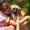 freundliches Hundekind Pepa sucht Leinenführer fürs Leben.