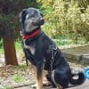Zicco; Seelchen in Not