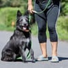 kinerliebe Familienhündin Sara